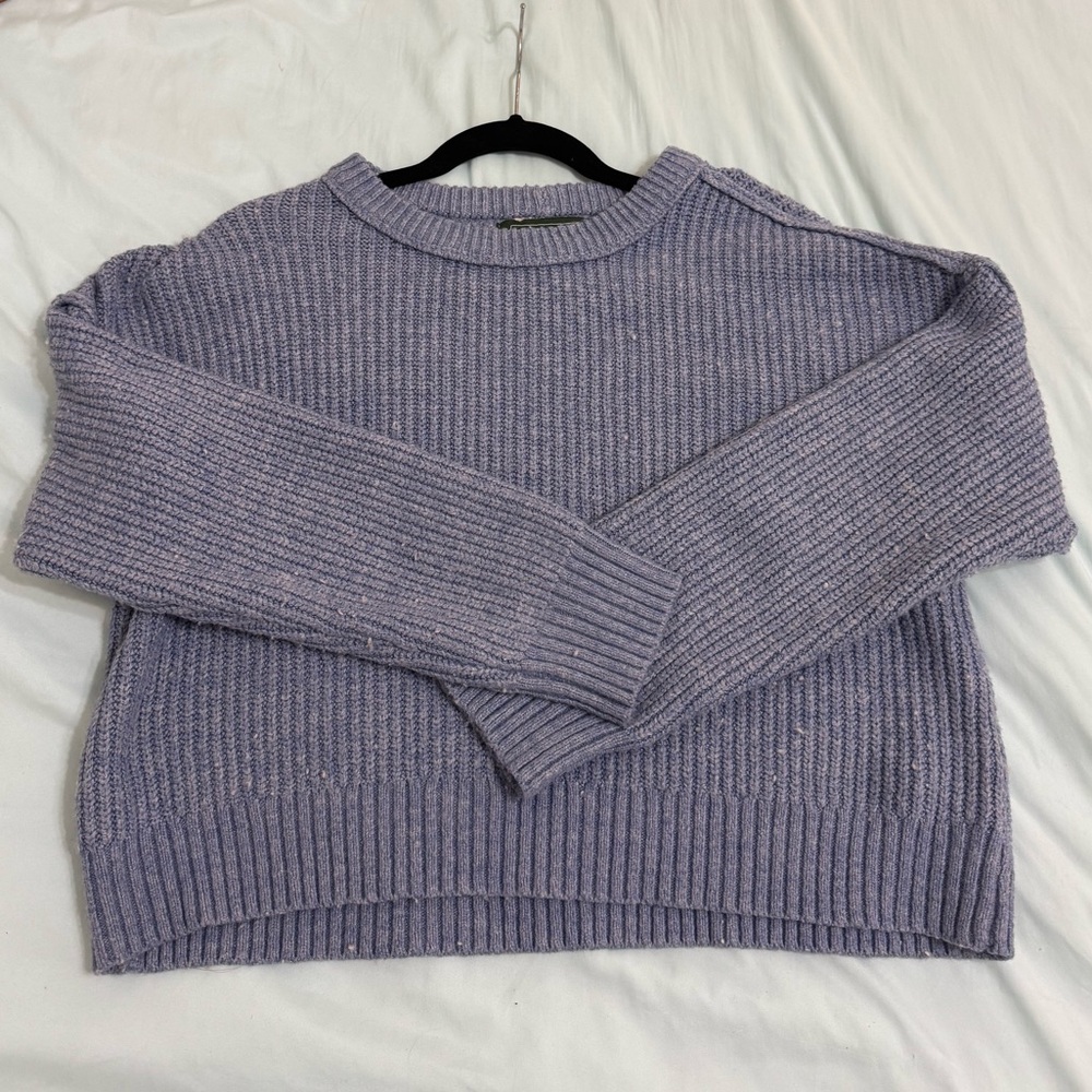American Eagle Outfitters Blue Crew Neck Sweater
